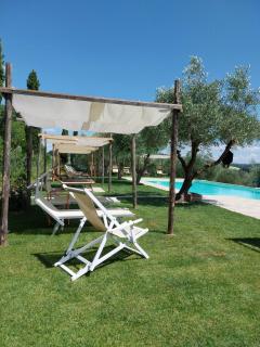 Agriturismo La Ca'Solare - Palaia - 7
