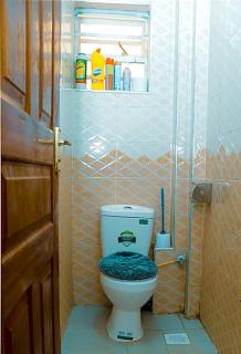 Tashma Airbnb Apartment - Nairobi - 1