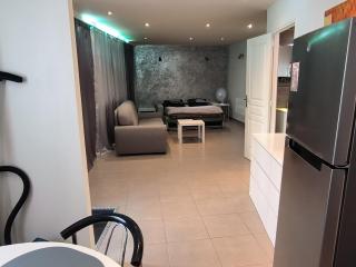 Loft Porte de Paris Croix de Chavaux 93100 Montreuil - Montreuil - 9