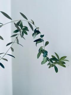 Stylish Industrial Holiday House in Pakuranga Free Wifi Netflix - Auckland - 1