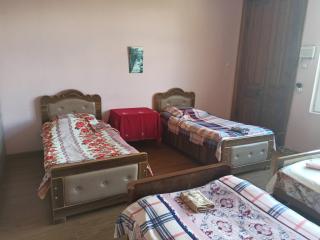 Cozy home - Zugdidi - 4