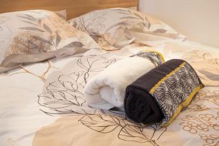 3. charmant appartement proche centre et gare - Valence - 4