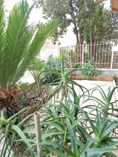 Cav-Chez Tina - Sanremo - 1