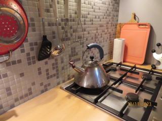 Vakantiehuis Onder de Peppel met sauna en jacuzzi - Wijk en Aalburg - 3