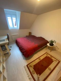 Superbe Duplex Strasbourg - Schiltigheim - 6