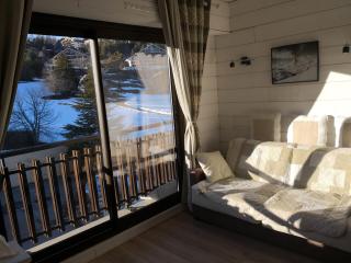 Joli Studio à la Montagne - Auron - 0