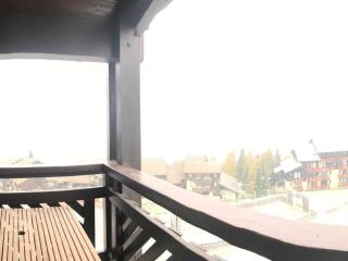 Studio fonctionnel au pied des pistes avec balcon et parking gratuit - FR-1-181-2512 - Aime-la-Plagne - 5