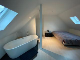 Superbe Duplex Strasbourg - Schiltigheim - 2