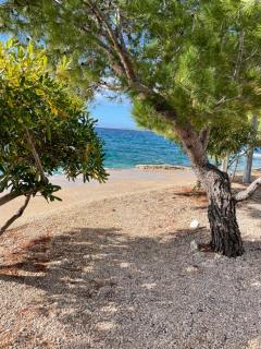 Sea view Mandre - Mandre - 1
