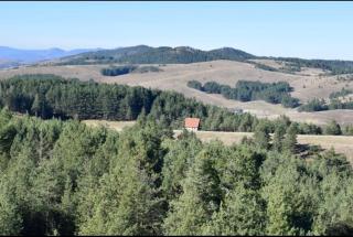 NG Apartmani Tornik Zlatibor - Zlatibor - 9