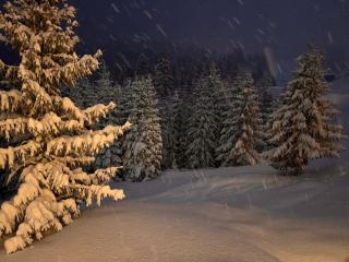 NORDIC Apartamente Păltiniș - 3