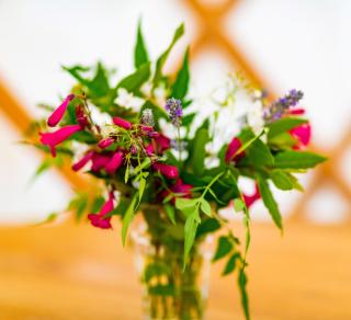 Bracken Yurt at Walnut Farm Glamping - 1