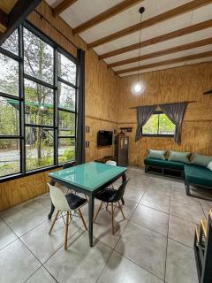 Molco Cabins Loft - Pucón - 5