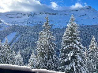Studio rénové avec cabine, centre station, balcon - Flaine Forêt - FR-1-425-201 - Arâches-la-Frasse - 6