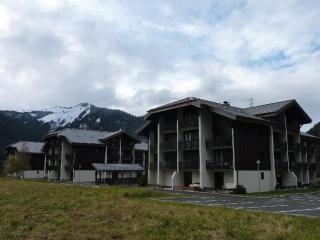 Charmant studio à Morzine - 4 pers, 19m², proche navettes gratuites pour Avoriaz, balcon, parking - FR-1-524-122 - 1