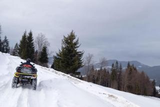 Montebello Colibita - 3