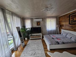 Апартамент за гости Боляри - Velingrad - 7