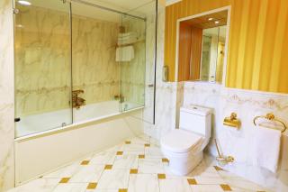 Diplomat Hotel by AG Hotels Group - Astana - 7