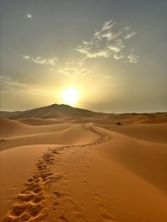 Aladdin merzouga camp - 2