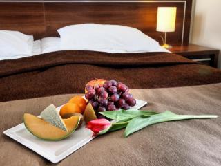 Hotel Austeria Conference & Spa - 9