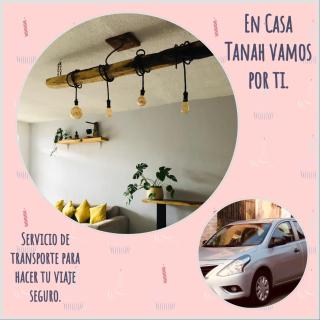 Casa Tanah - Guadalajara - 5