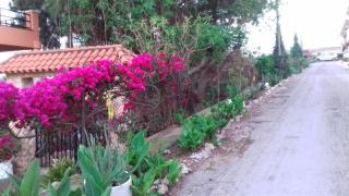 Casa Rural COMPLEX MASIA DEL TREMENDO y Agroturismo - 6