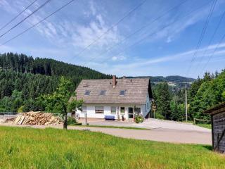 Ferienwohnung Siggi - Hardt - 8