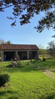 Zemarani Winery - - 6