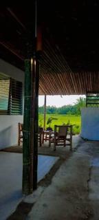 Bamboo Garden Tourist Inn - Carmen - 3