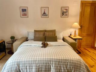 Bitxilore Biescas con terraza y petfriendly - Biescas - 8