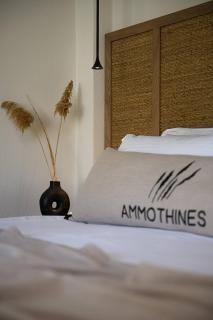 Ammothines Beach Suites - 8
