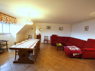 Maison familiale à Orbey, 3 chambres, parking privé, espace vert, jeux pour enfants - FR-1-744-26 - Orbey - 9