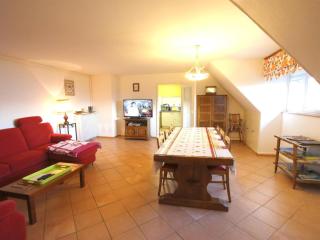 Maison familiale à Orbey, 3 chambres, parking privé, espace vert, jeux pour enfants - FR-1-744-26 - Orbey - 8
