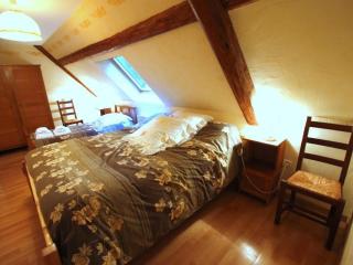 Maison familiale à Orbey, 3 chambres, parking privé, espace vert, jeux pour enfants - FR-1-744-26 - Orbey - 4