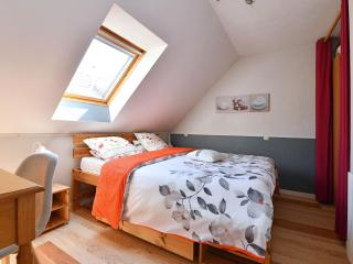 Gîte charmant au calme, 2 personnes, proche vignobles et châteaux, animaux acceptés, terrasse jardin - FR-1-744-33 - Bergheim - 6