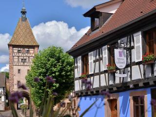 Gîte charmant au calme, 2 personnes, proche vignobles et châteaux, animaux acceptés, terrasse jardin - FR-1-744-33 - Bergheim - 5