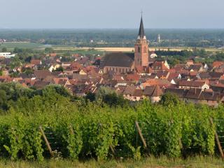 Gîte charmant au calme, 2 personnes, proche vignobles et châteaux, animaux acceptés, terrasse jardin - FR-1-744-33 - Bergheim - 4