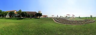 Agrimargherita - Caorle - 4