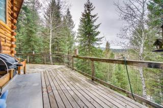 Roots Rustic Retreat Tree-Lined Cabin in McCall - McCall - 9