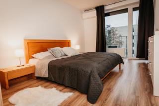 Old Town city center apartment 2 - private parking included - Košice - 9