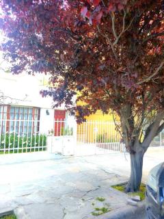 Casa interna en el centro - Puerto Madryn - 6