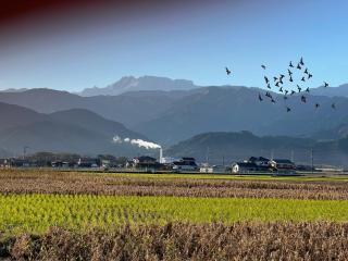 日常を忘れる静かな空間の宿クレンリネスDanDan - - 5