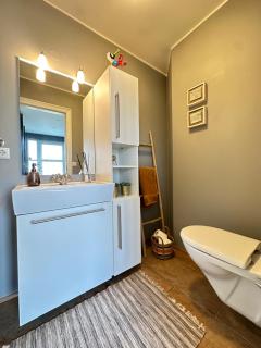 Modern and spacious 3 bedroom house, with fantastic view over Reykjavik. - 1