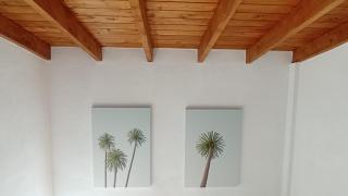 CASA DEL ARBOL DE BIBIANA 1 - Hermigua - 2