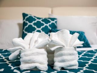 Furnished Apartment near Rittenhouse Square apts - 1