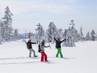 Sachinoyu Hotel Shiga Kogen - Yamanouchi - 4