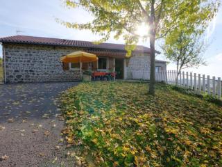 Gîte rural 2 chambres avec jardin, terrasse, wifi, animaux acceptés - FR-1-496-130 - Saint-Héand - 6