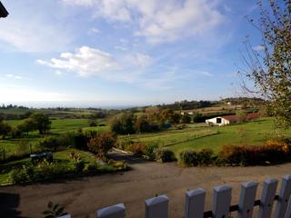 Gîte rural 2 chambres avec jardin, terrasse, wifi, animaux acceptés - FR-1-496-130 - Saint-Héand - 4