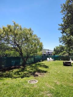 Casa Punta Negra - 6