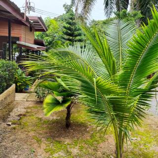 Palm Tian Homes A20 - Ban Chong Phli - 7